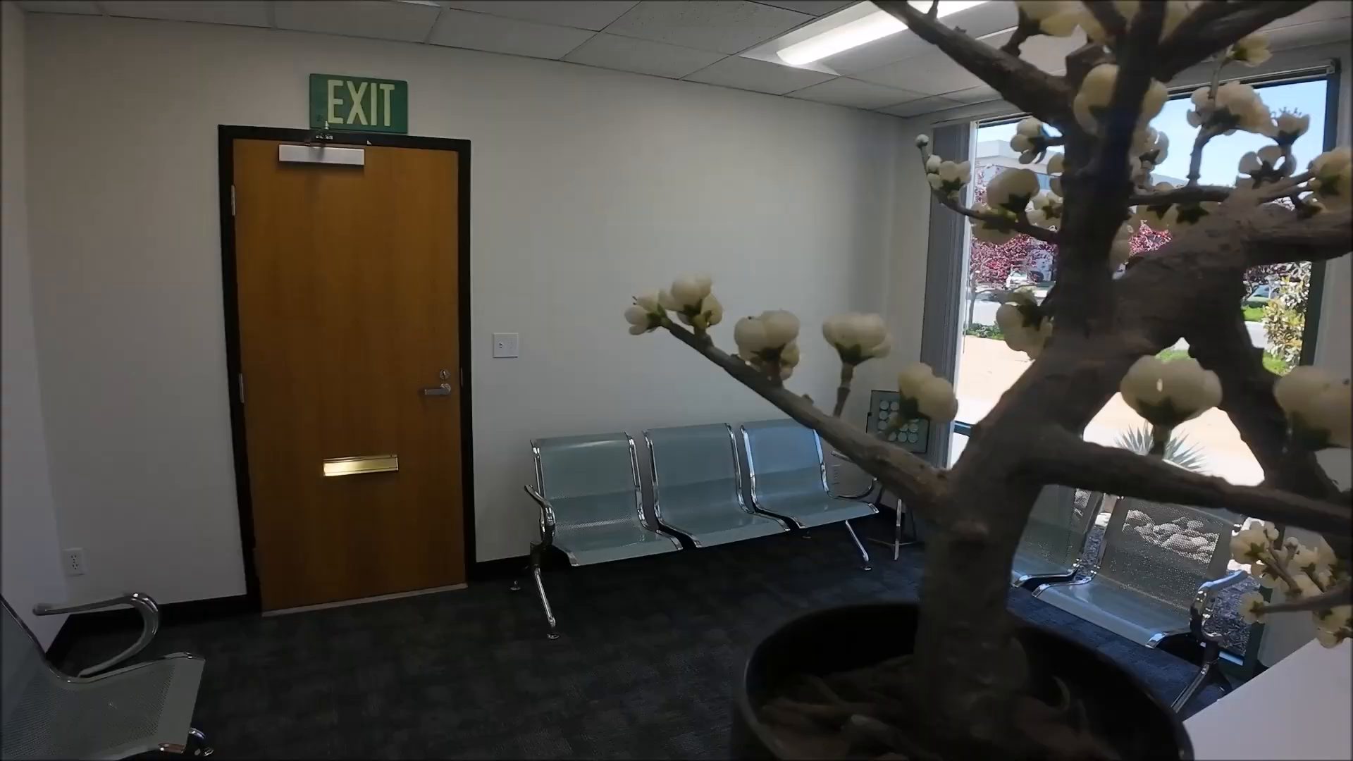 AmeriSleep Diagnostics waiting room with metal chairs, a window and a large potted tree.